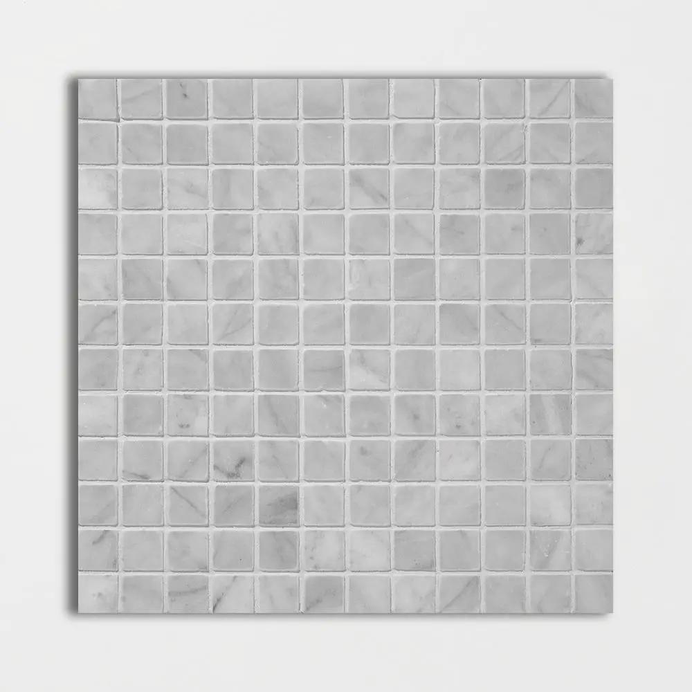 Carrara T Honed 1x1 Marble Mosaics 12x12