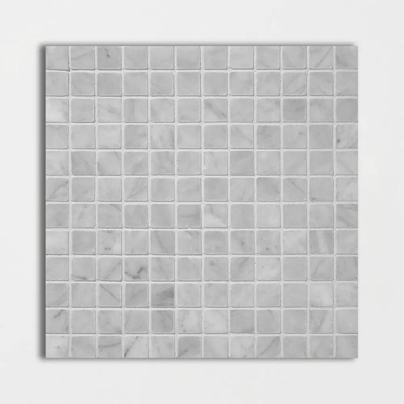 Carrara T Honed 1x1 Marble Mosaics 12x12