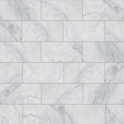 Carrara T Honed Marble Tiles 2 3/4x5 1/2