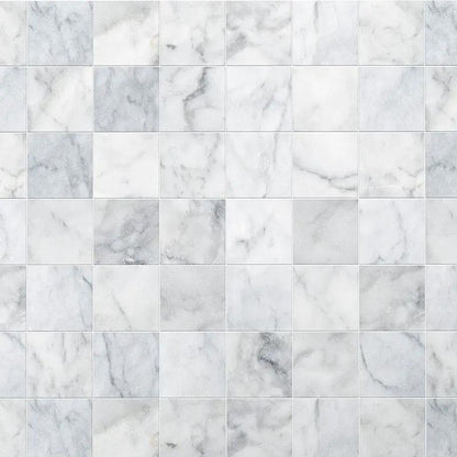 Carrara T Honed Marble Tiles 5 1/2x5 1/2