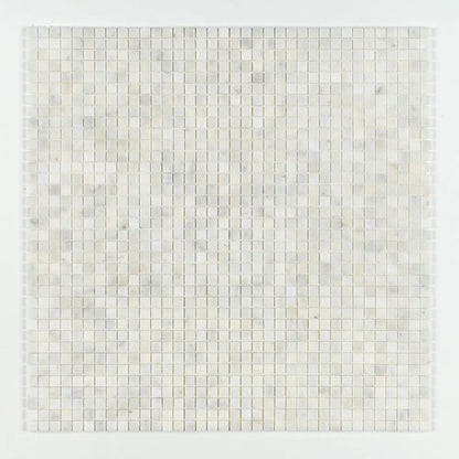 Carrara T Polished 1x1 Marble Mosaics 12x12