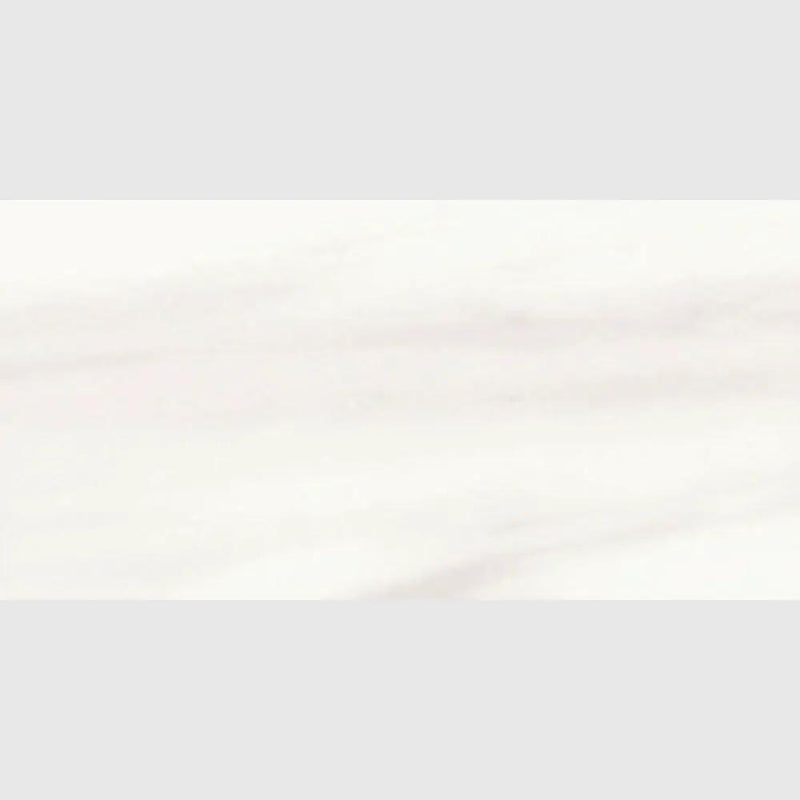 Carrara Venato Matte Cove Base Porcelain Moldings 6x12