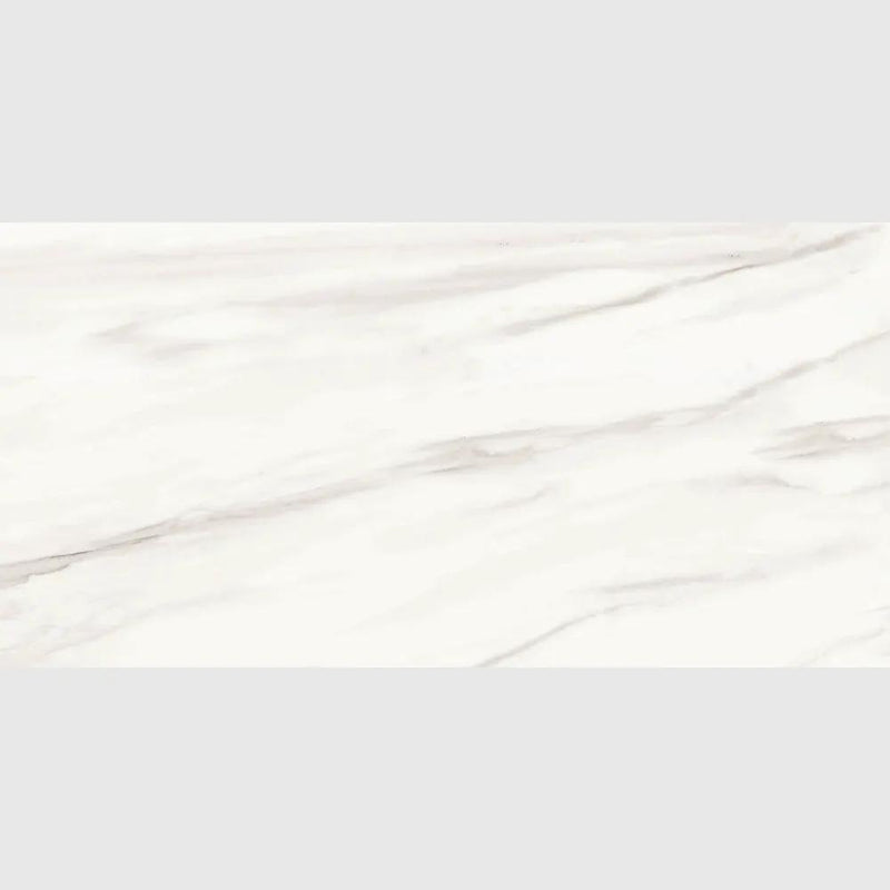 Carrara Venato Matte Porcelain Tiles 24x48