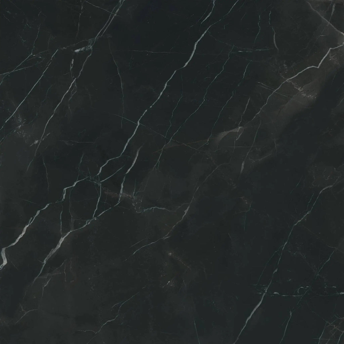 Charme Evo Calacatta Black Marble Look Porcelain Tiles 24x24