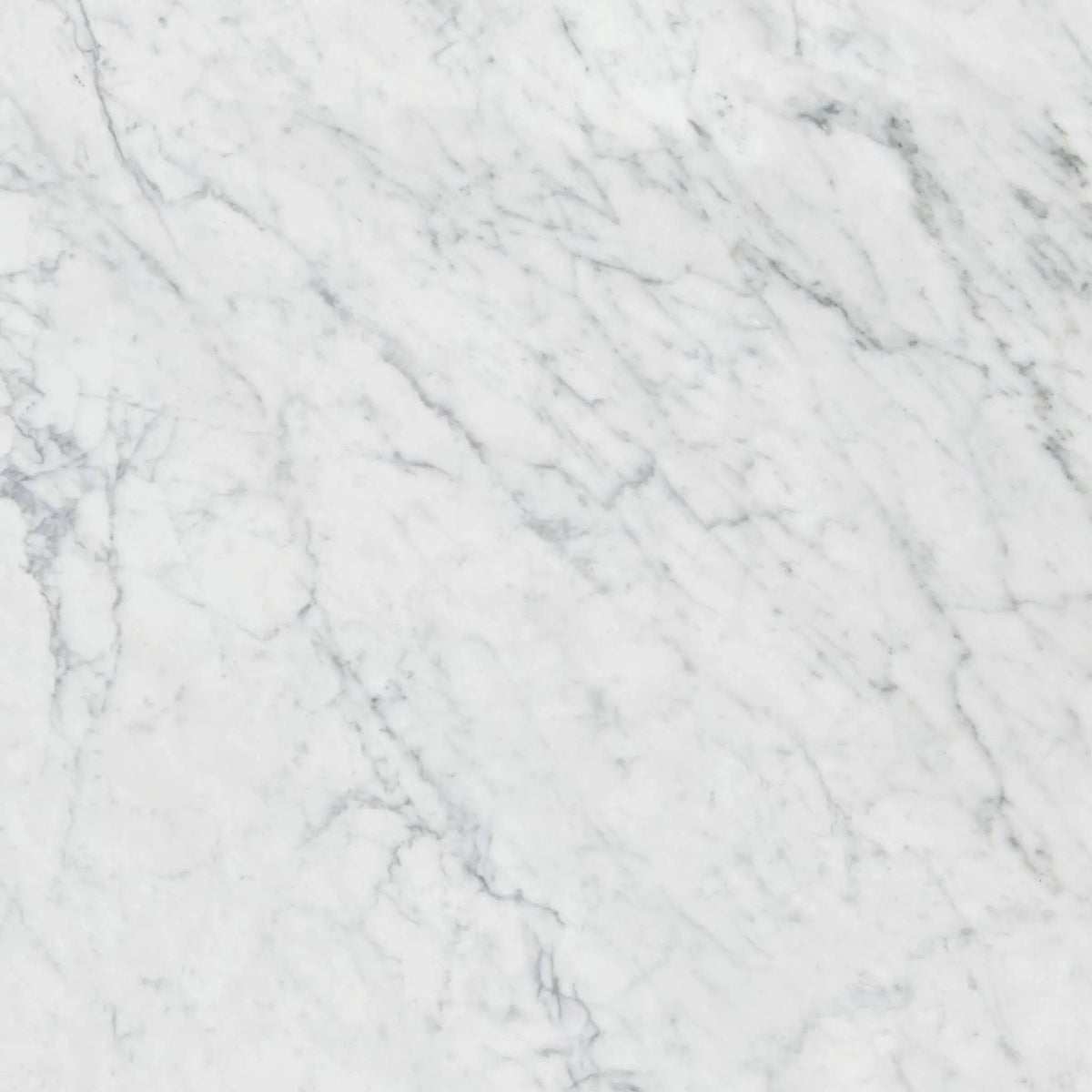 Charme Evo Michelangelo Extra White Marble Look Porcelain Tiles 24x24