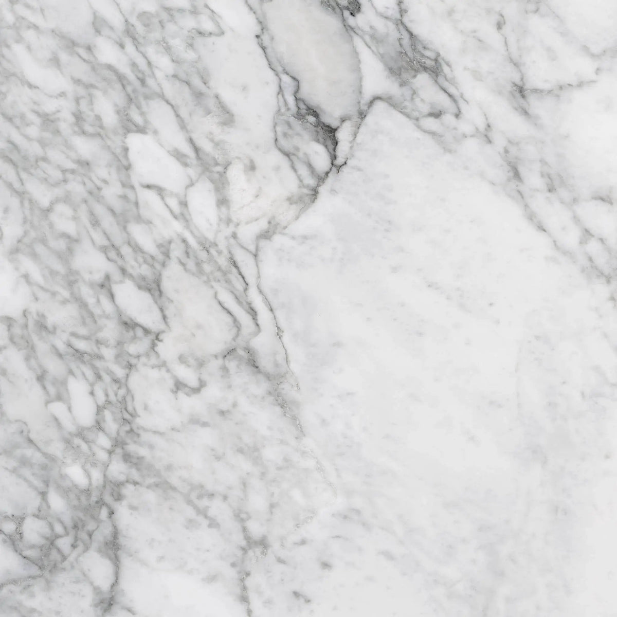Charme Evo Renoir Plus Marble Look Porcelain Tiles 24x24