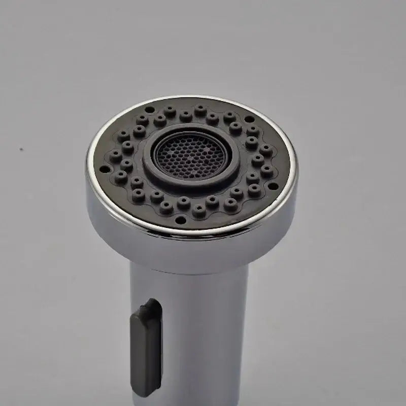 Chrome dual function sprayer head kitchen faucet spout replacement