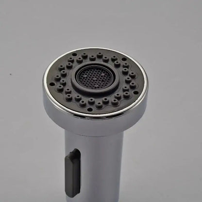 Chrome dual function sprayer head kitchen faucet spout replacement