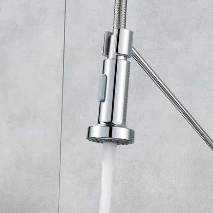 Chrome dual function sprayer head kitchen faucet spout replacement