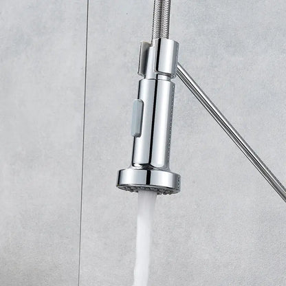 Chrome dual function sprayer head kitchen faucet spout replacement