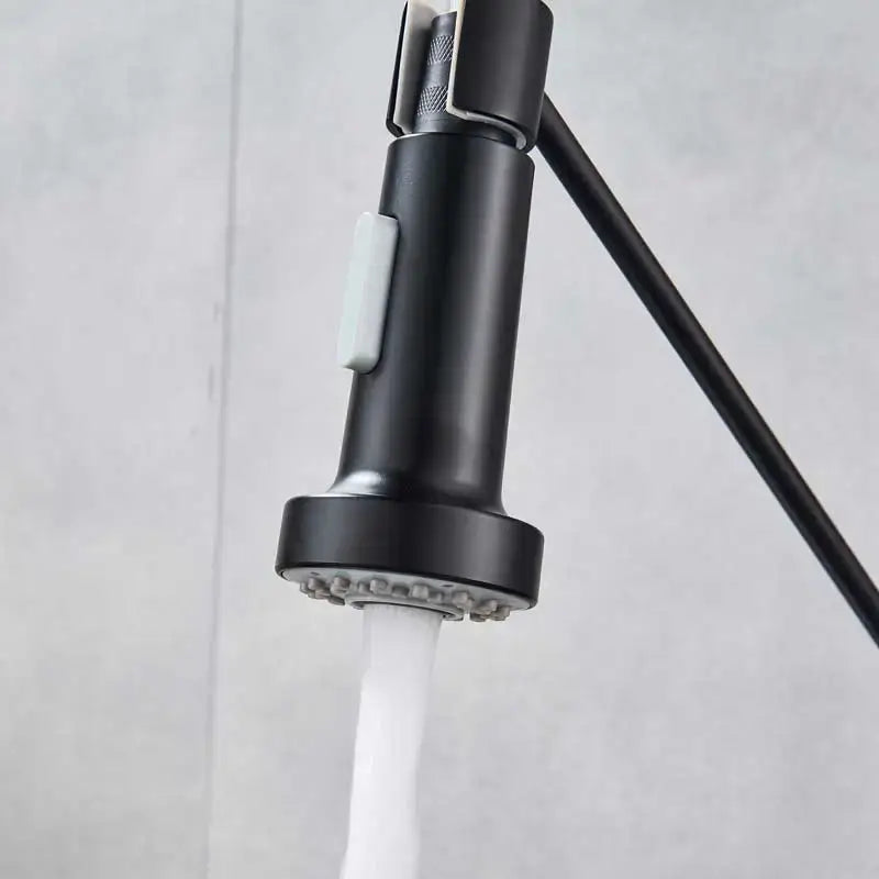 Chrome dual function sprayer head kitchen faucet spout replacement