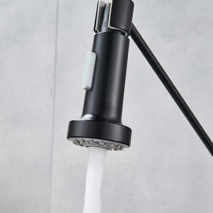 Chrome dual function sprayer head kitchen faucet spout replacement