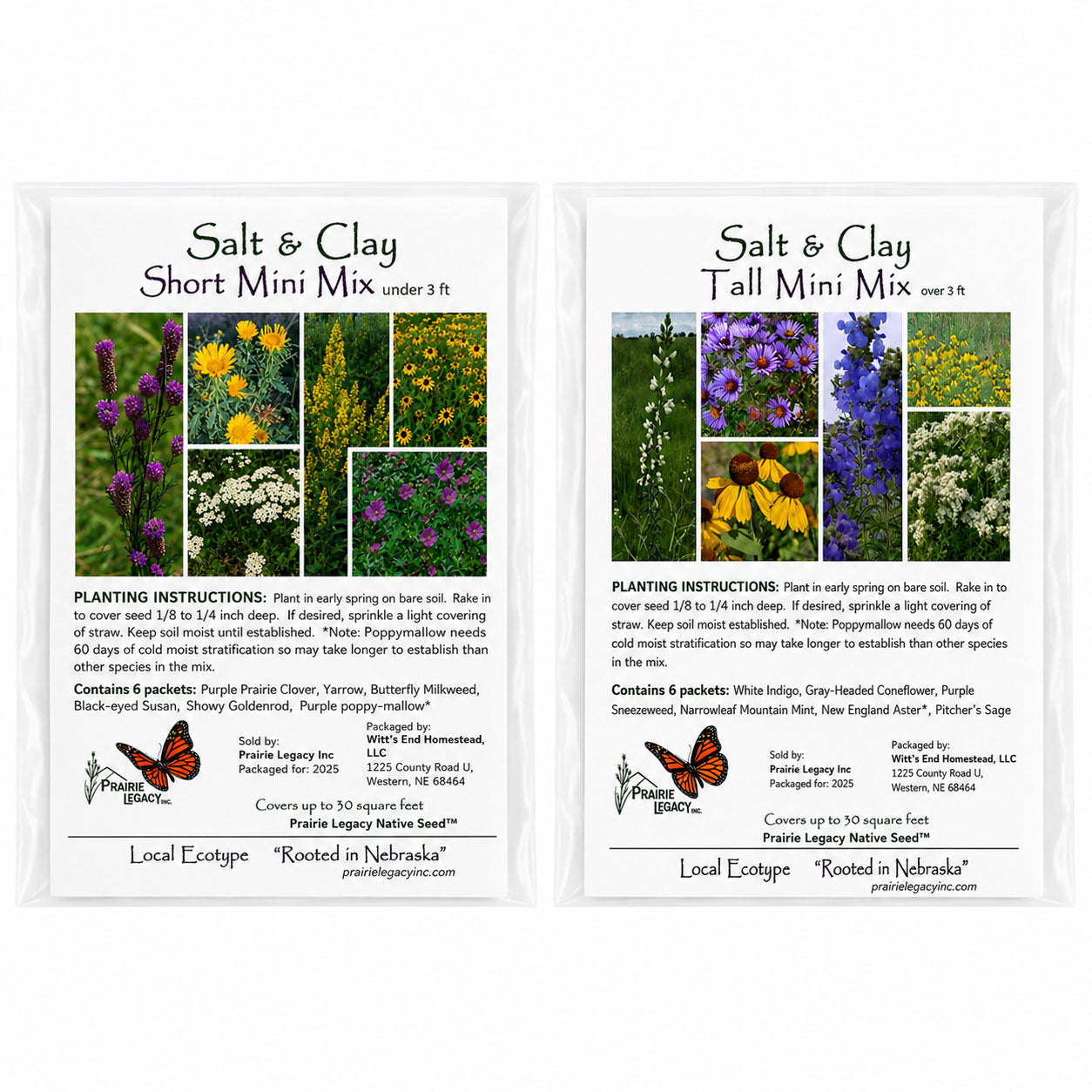 Salt & Clay Wildflower Bundle | Tall & Short Mini Mixes | Prairie Legacy Inc.