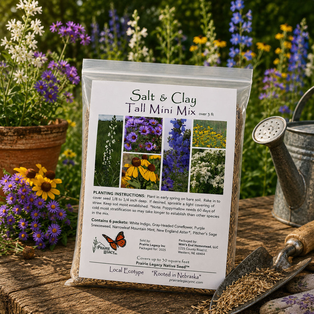 Salt & Clay Wildflower Bundle | Tall & Short Mini Mixes | Prairie Legacy Inc.