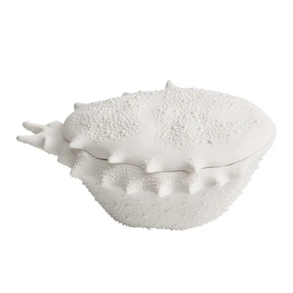 Coastal white shell ceramic soup bowl dining room decorative dish
