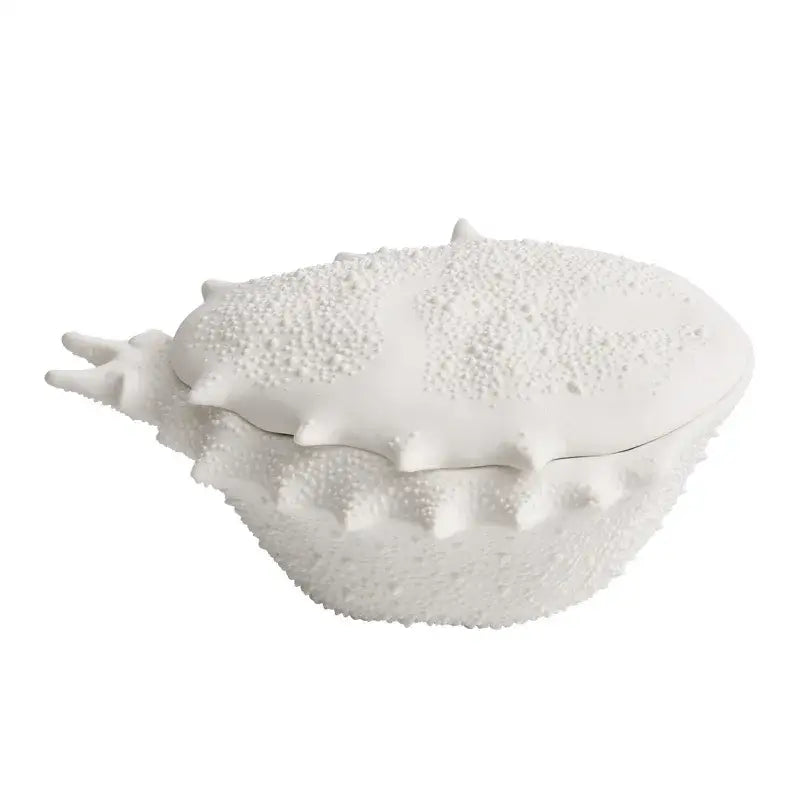 Coastal white shell ceramic soup bowl dining room decorative dish