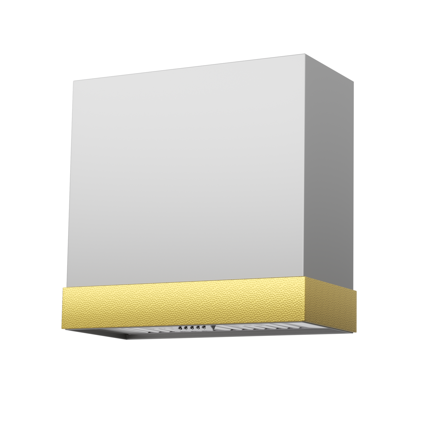 Akicon 30" Stainless Steel Wall Mount Range Hood with 600 CFM Vent Hood