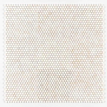 Flecked Canvas Honed Penny Round Marble Mosaics 11 1/2x11 1/2