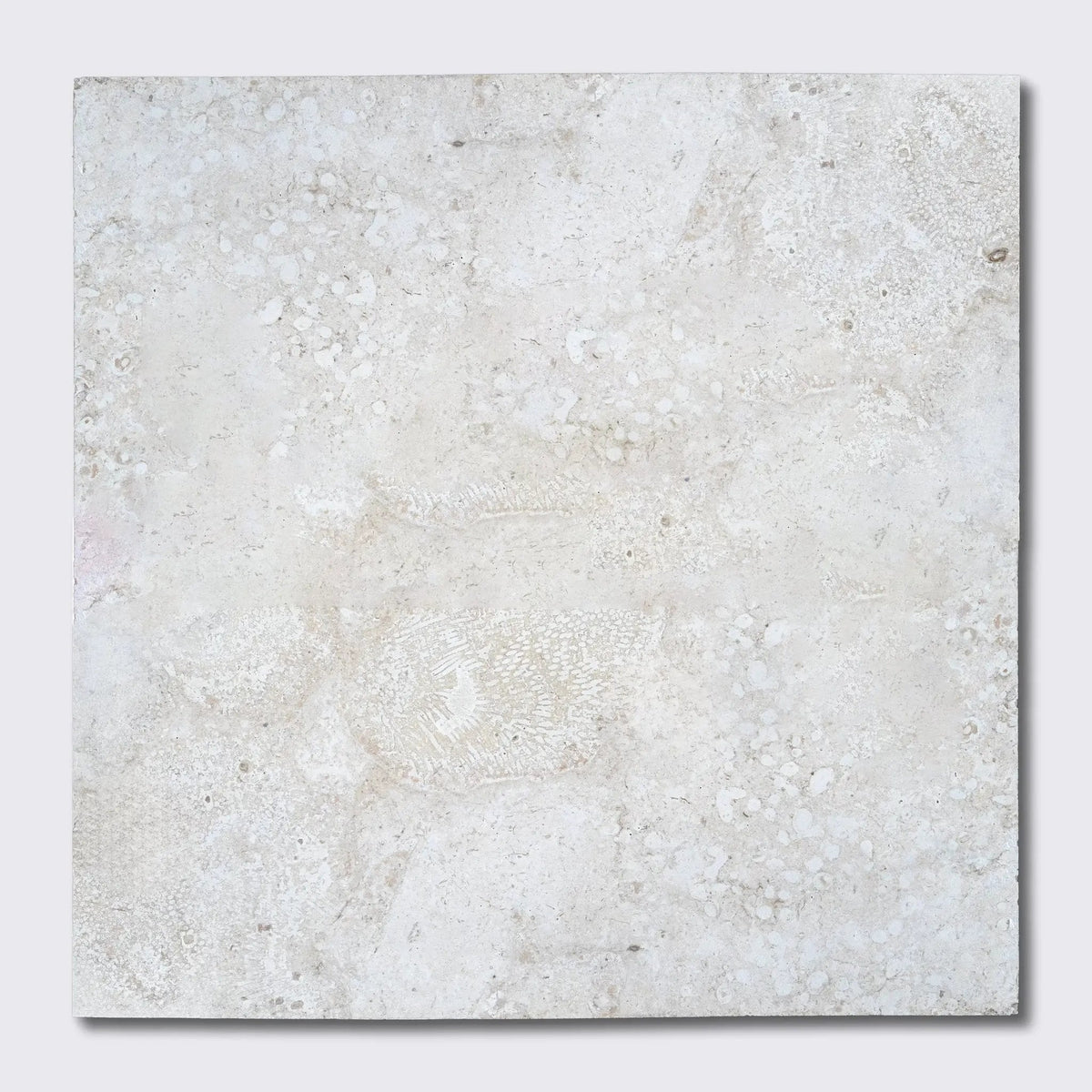 Coral Honed Filled Ion Tiles 24x24