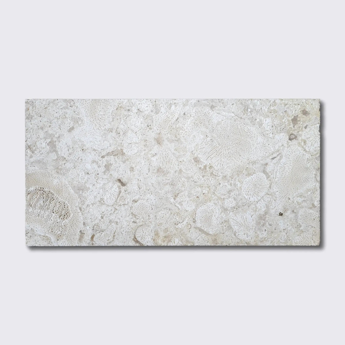 Coral Natural Flute Trim Tiles 12x24