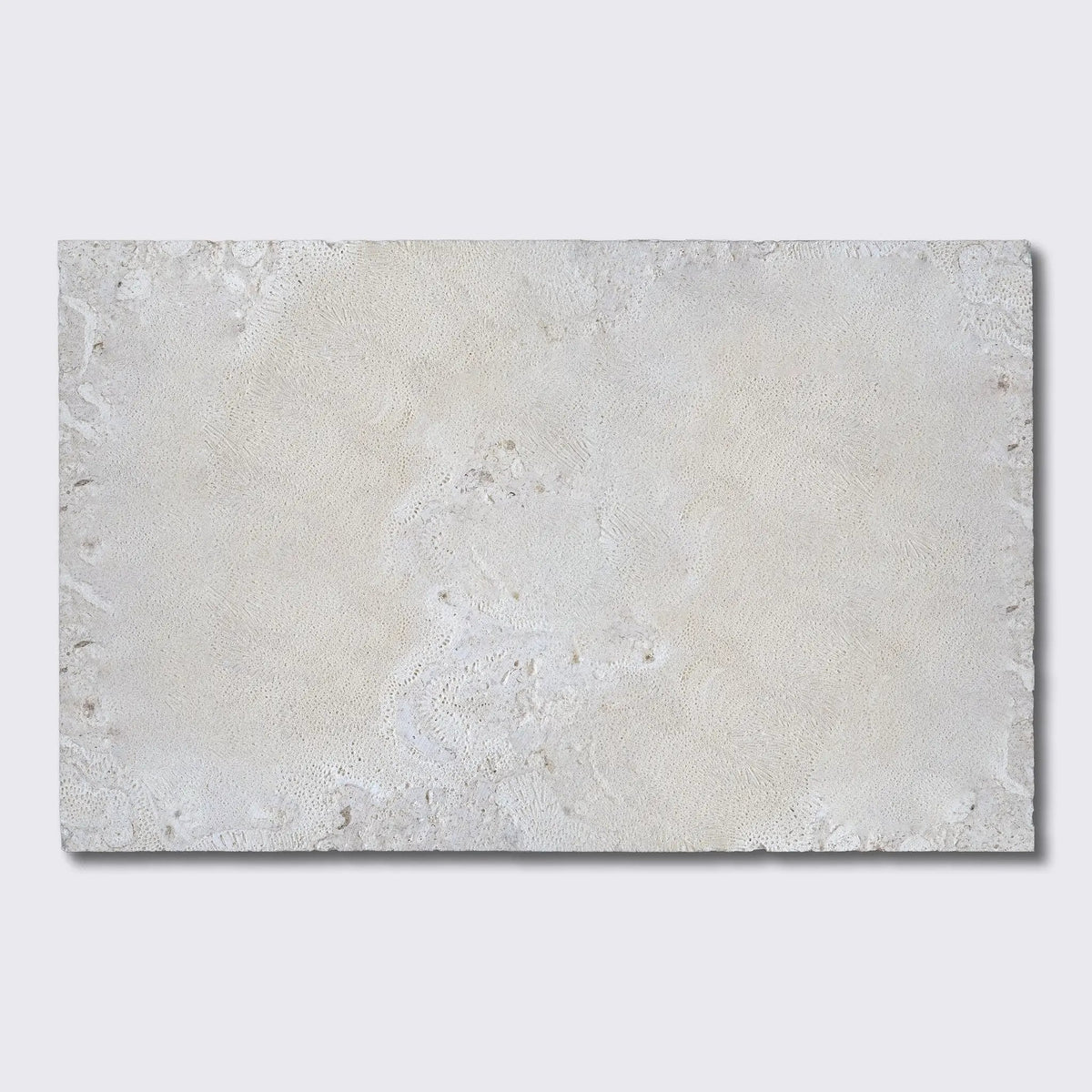 Coral Natural Flute Trim Tiles 18x36
