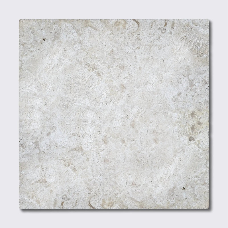 Coral Natural Flute Trim Tiles 24x24