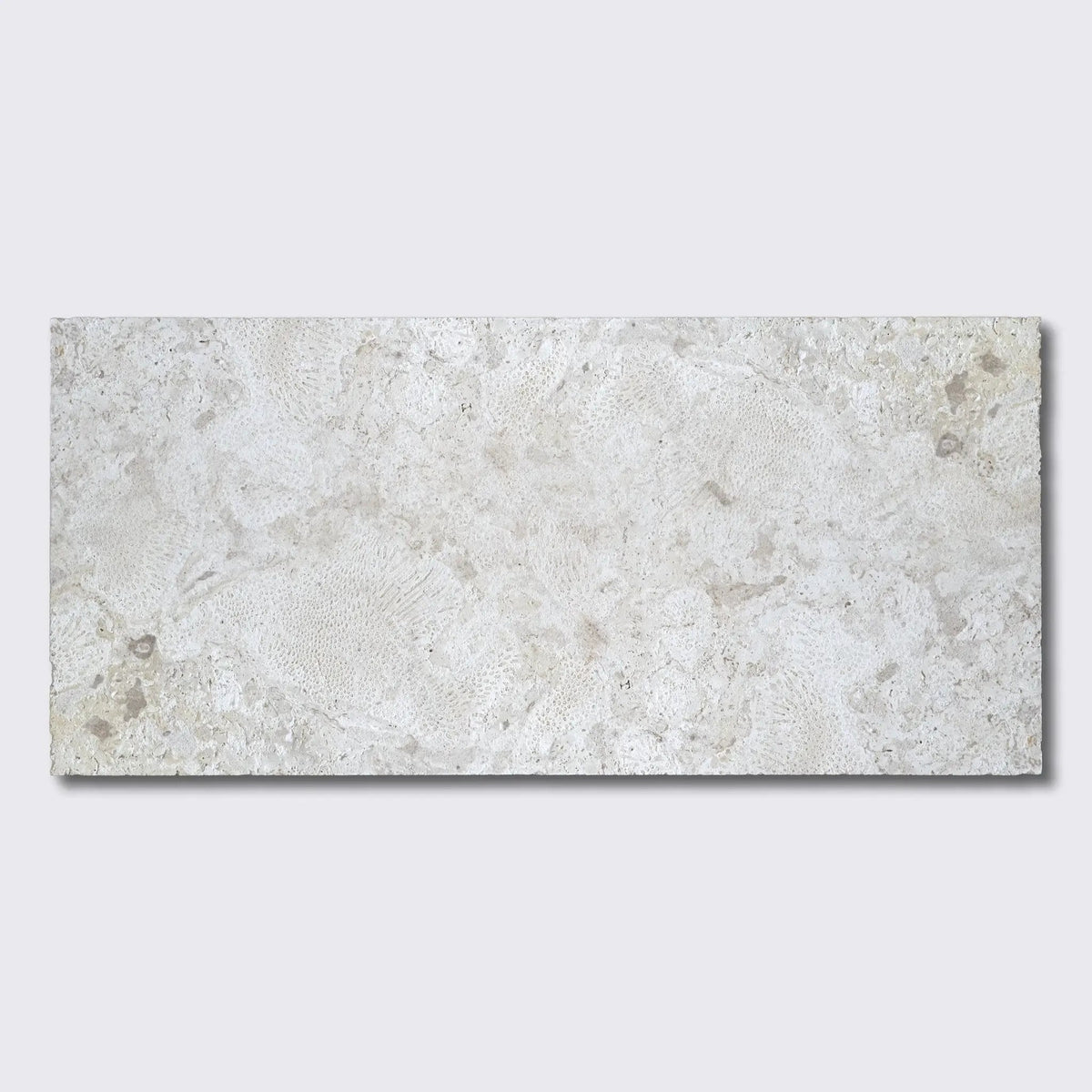 Coral Natural Ion Pavers 12x24