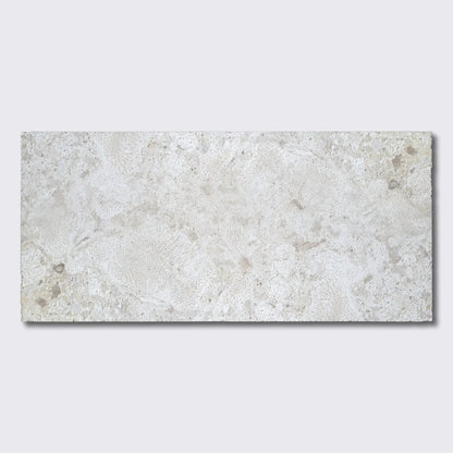 Coral Natural Ion Pavers 12x24