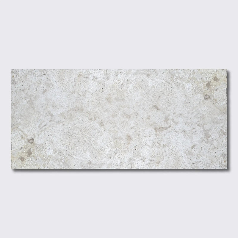 Coral Natural Ion Pavers 12x24
