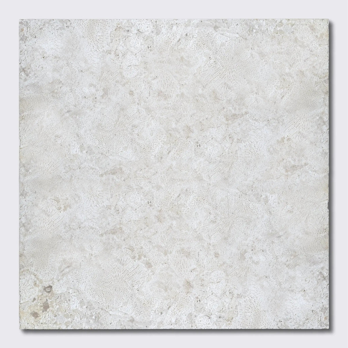 Coral Natural Pavers 24x24