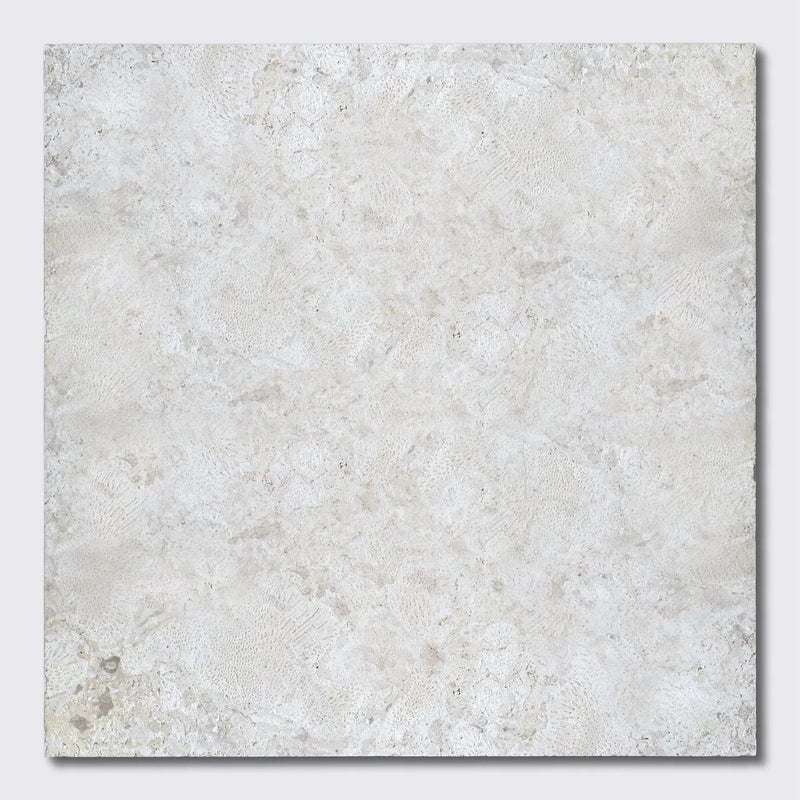 Coral Natural Pavers 24x24