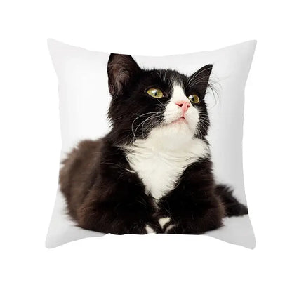 Cute black cat pillowcases bedroom animal print cushion covers
