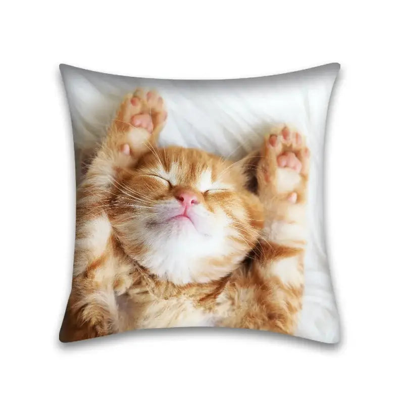 Cute cat anime pillow case – bedroom and living room square cushion