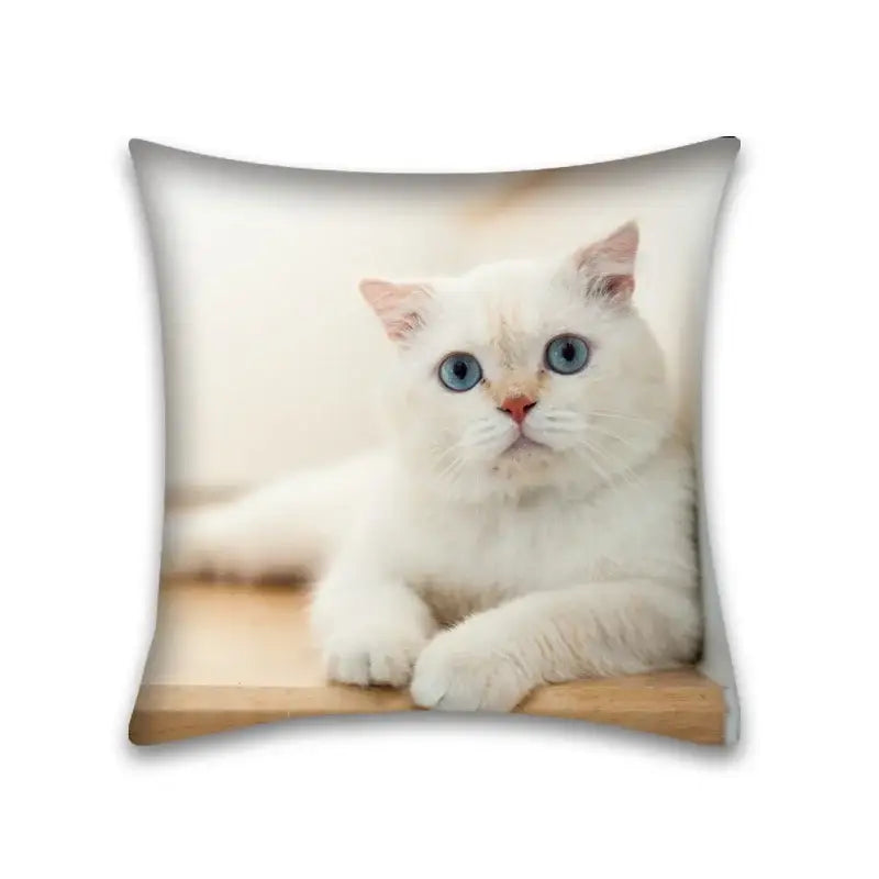 Cute cat anime pillow case – bedroom and living room square cushion