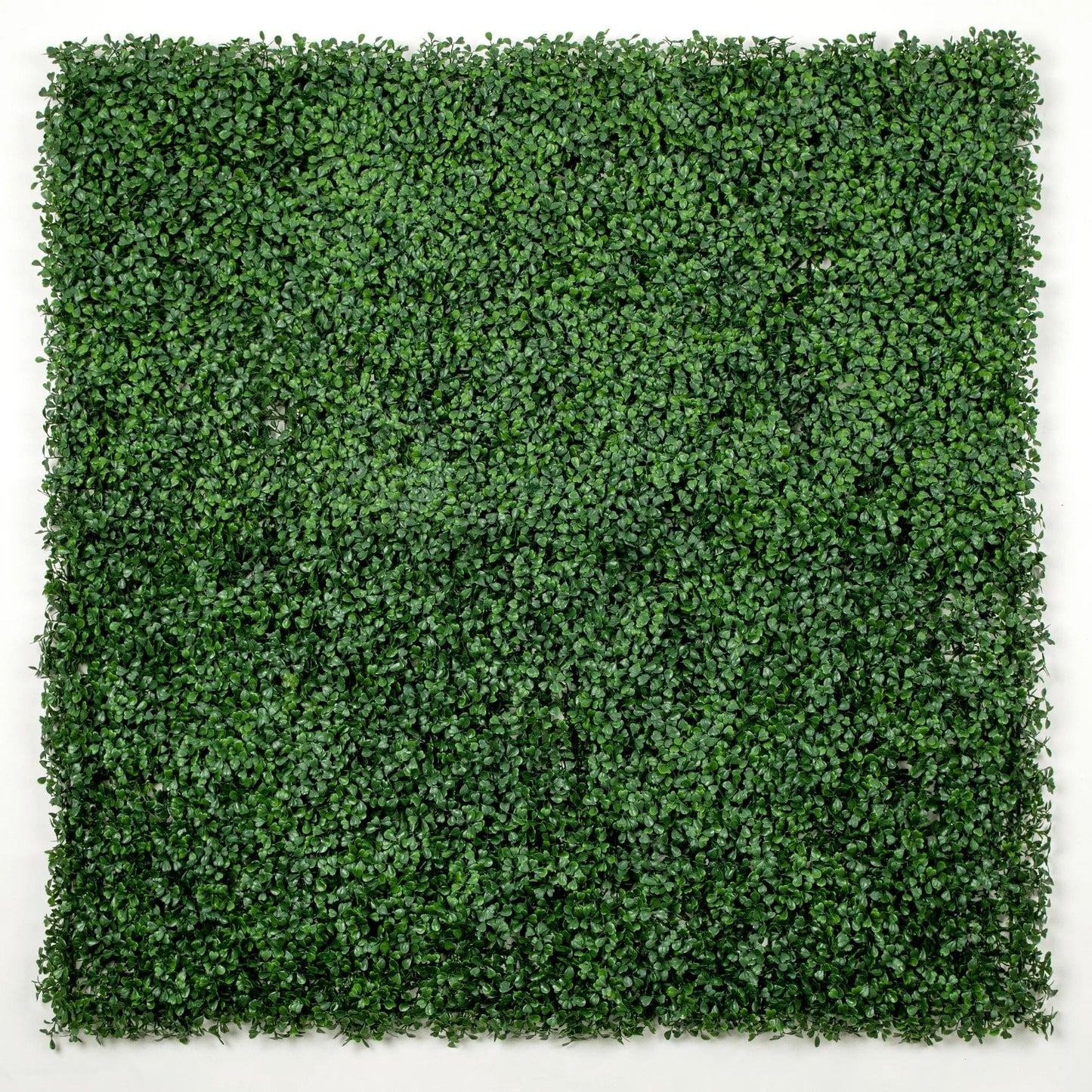 Dark Boxwood Artificial Vertical Garden Green Wall Panel 40×40in 11 SQ FT – UV Resistant – Commercial Grade