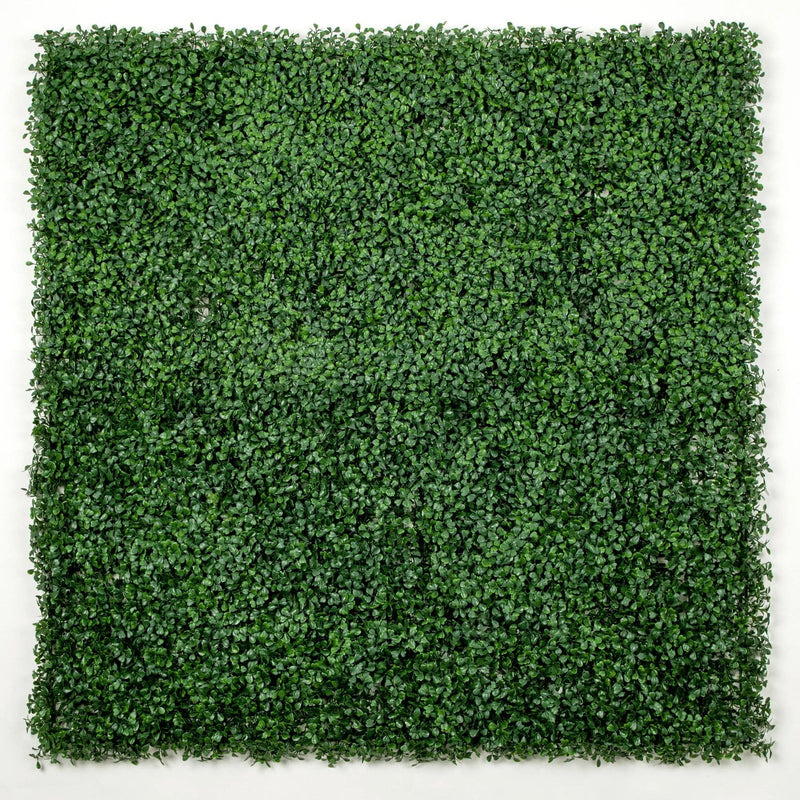 Dark Boxwood Artificial Vertical Garden Green Wall Panel 40×40in 11 SQ FT – UV Resistant – Commercial Grade