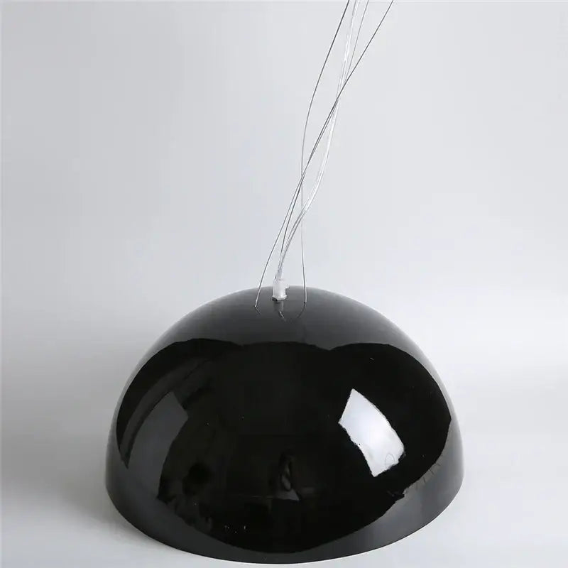 Modern black sky garden resin chandelier dining room pendant light
