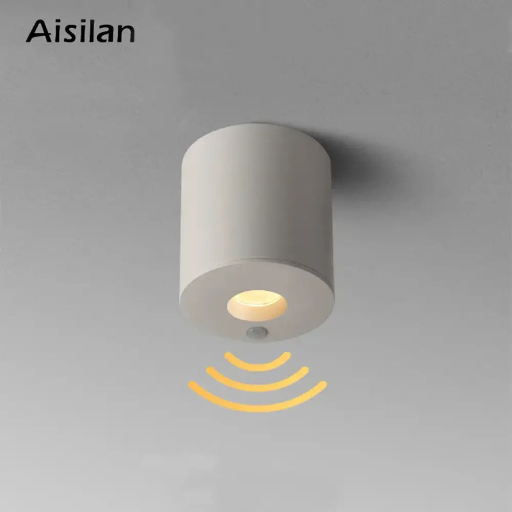 Modern white led sensor downlight – hallway surface mount light