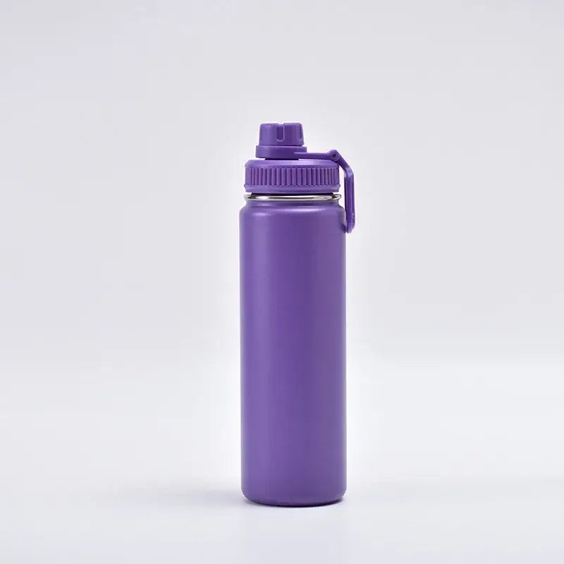Vibrant 750ml stainless steel insulated sports water bottle kitchen