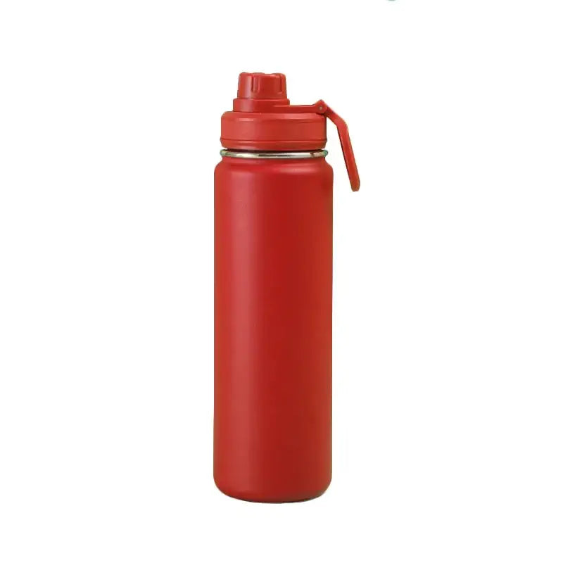 Vibrant 750ml stainless steel insulated sports water bottle kitchen
