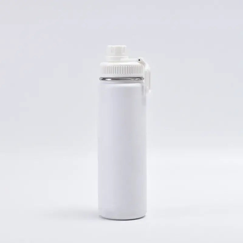 Vibrant 750ml stainless steel insulated sports water bottle kitchen
