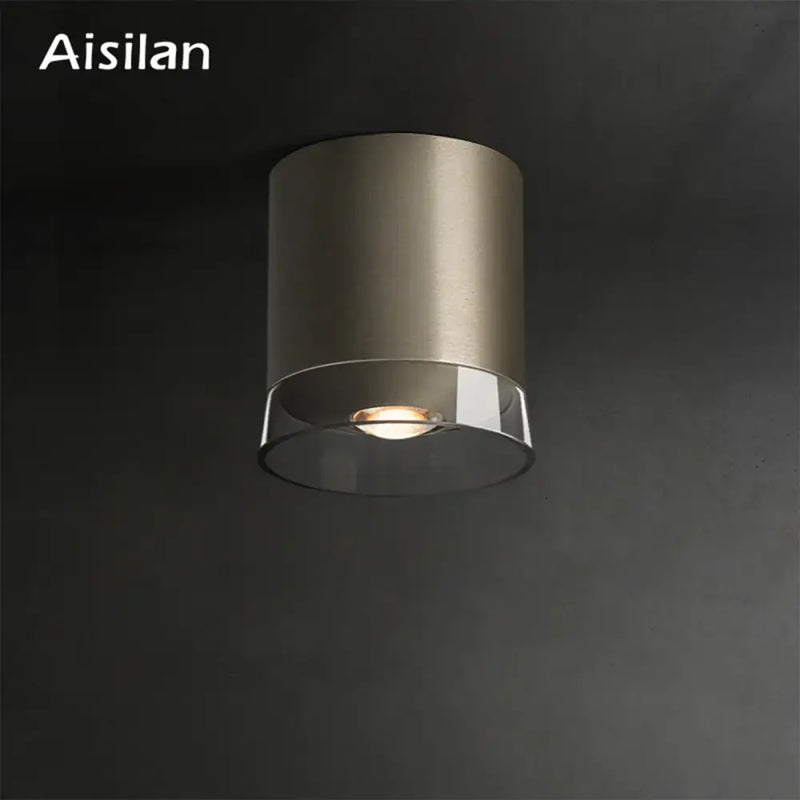 Modern brushed nickel led downlight living room cylindrical light
