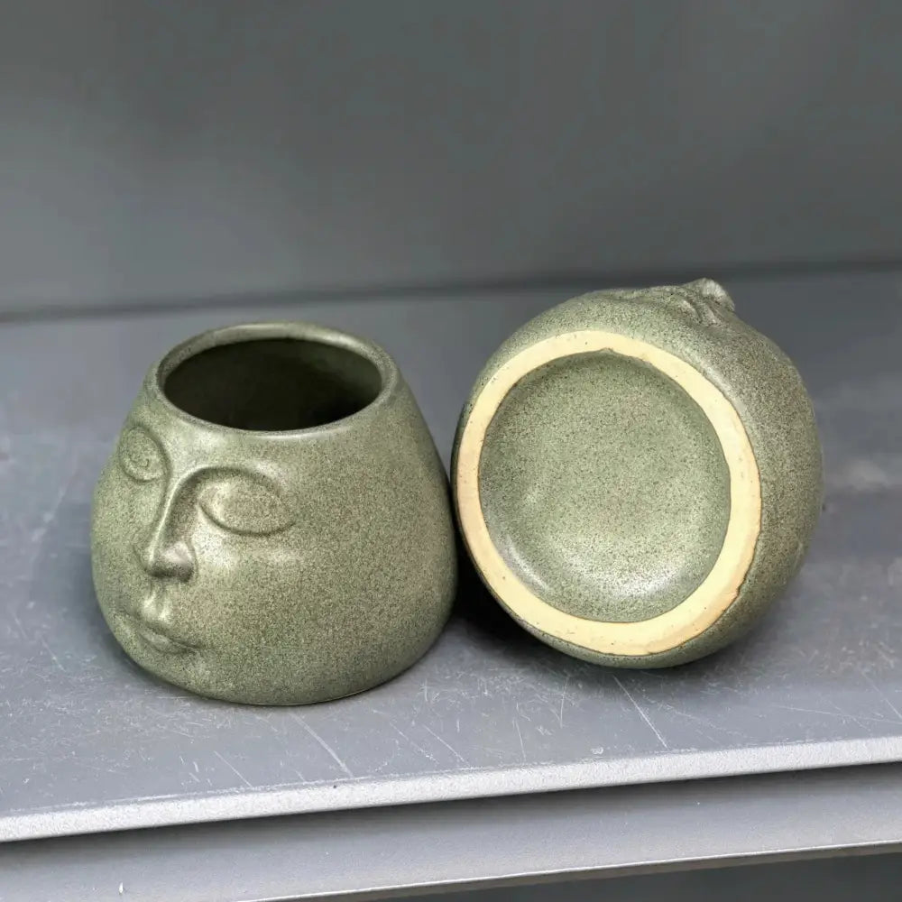 Abstract face ceramic flowerpot sage green living room planter