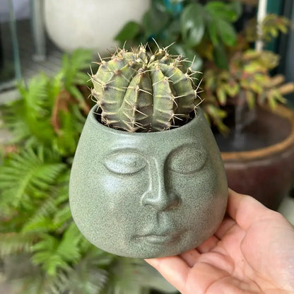Abstract face ceramic flowerpot sage green living room planter