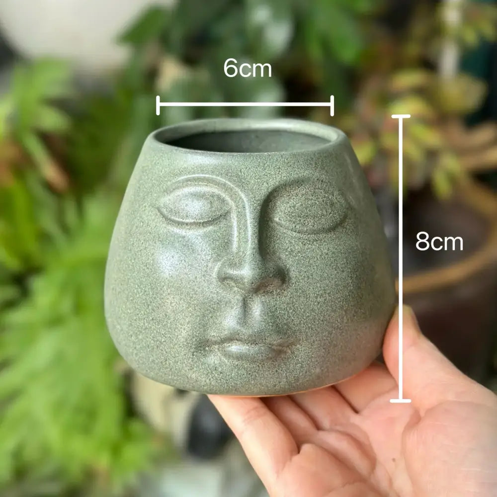 Abstract face ceramic flowerpot sage green living room planter