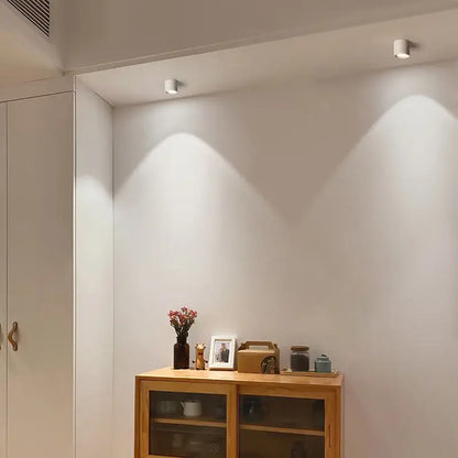 Modern black & white aluminum ceiling lamp living room spotlights