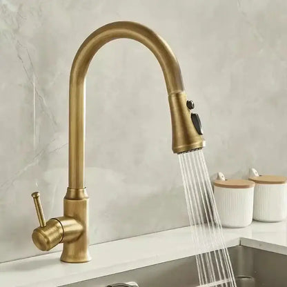Antique brass kitchen faucet with pull out spray sink mixer tap