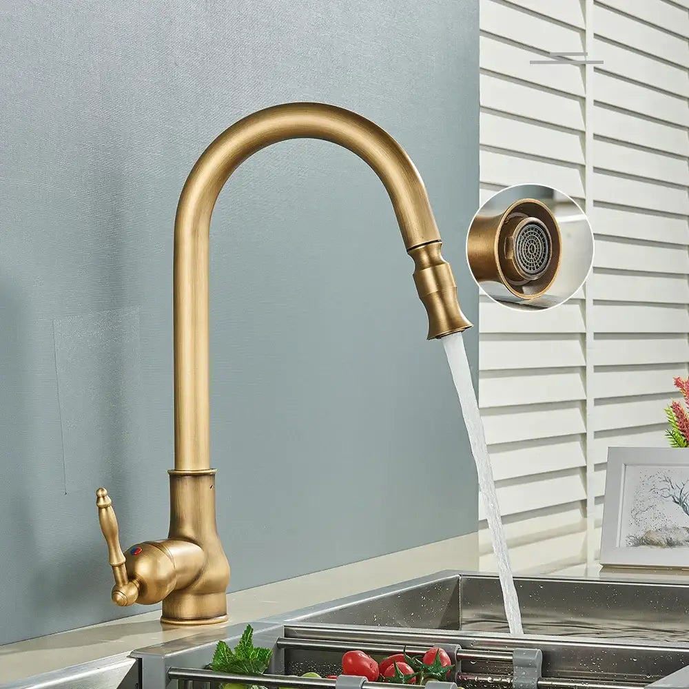 Antique brass kitchen faucet with pull out spout and single lever