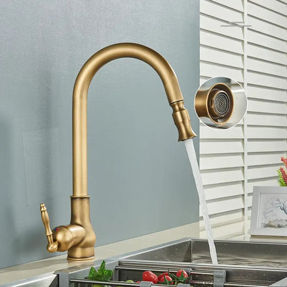 Antique brass kitchen faucet with pull out spout and single lever