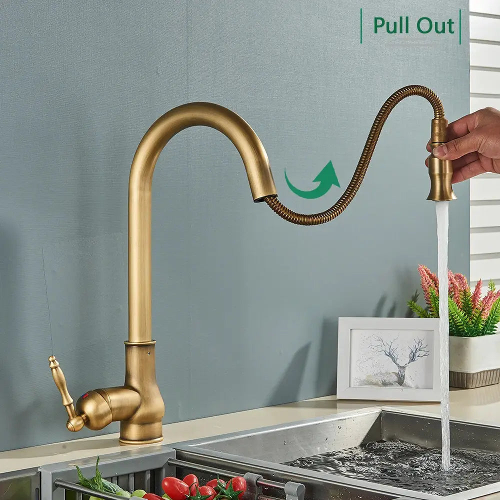 Antique brass kitchen faucet with pull out spout and single lever